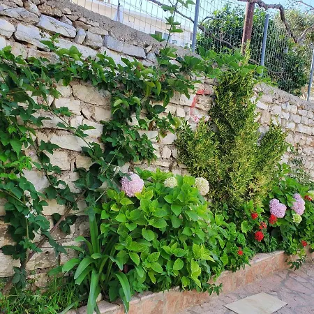 Sandri * Sarande